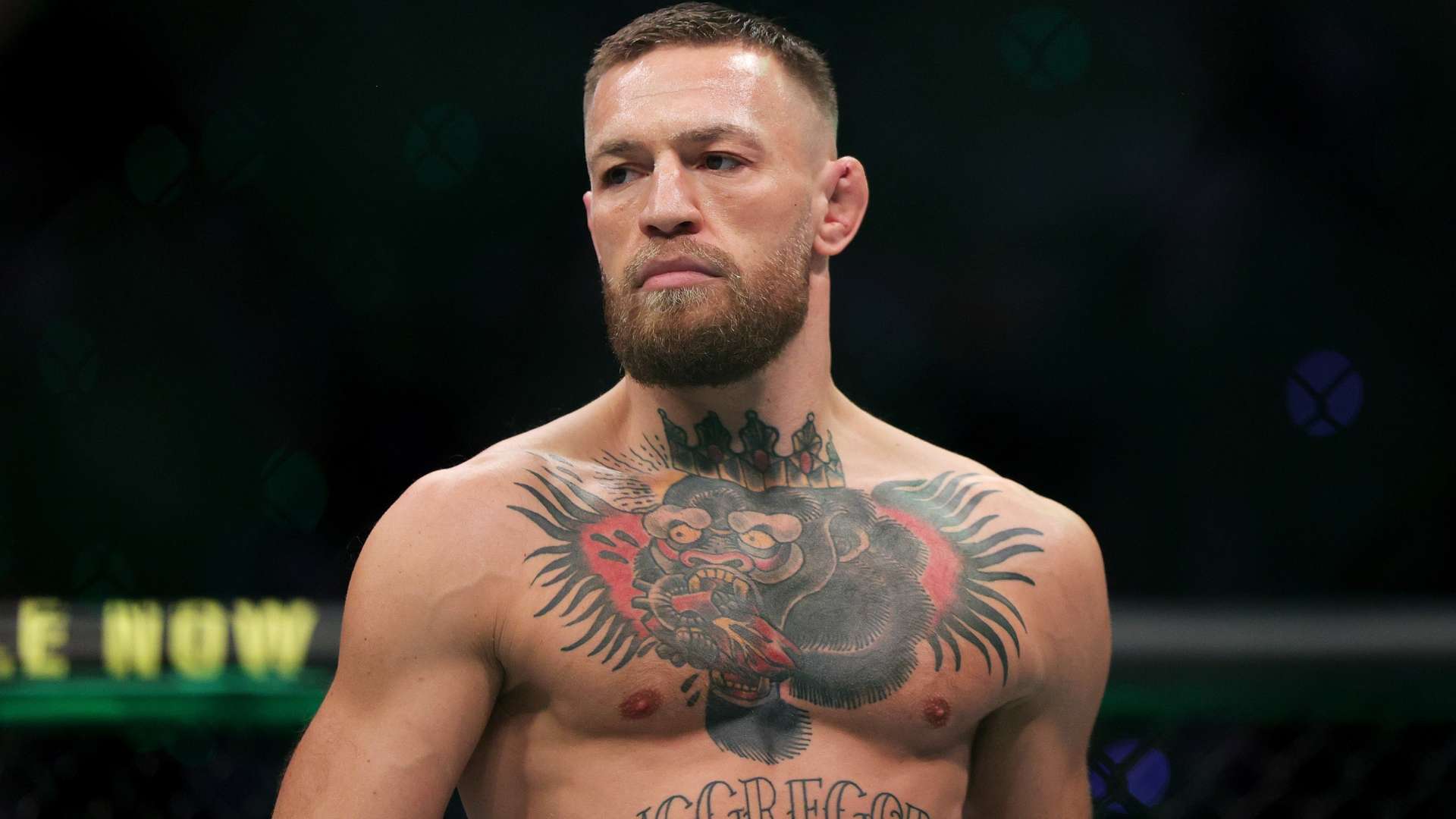 的教練之一 的教練之一